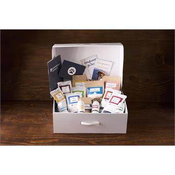 Starterbox für Hunde
